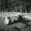 Gunnilbo sn, Naddebo.
Inför fisketur. 1937.