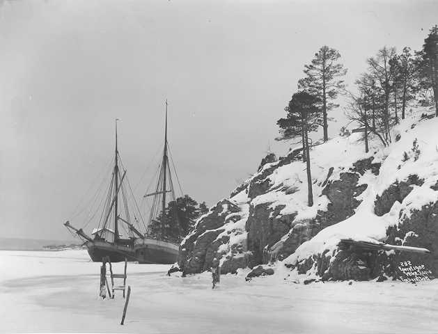 Prot: Jakter oplagte i Devikbukten Hvalstad vinter 1902