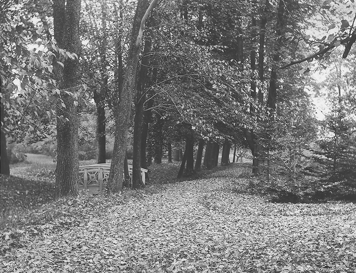 Prot: Høstsene i Frogner Park Oct.1902