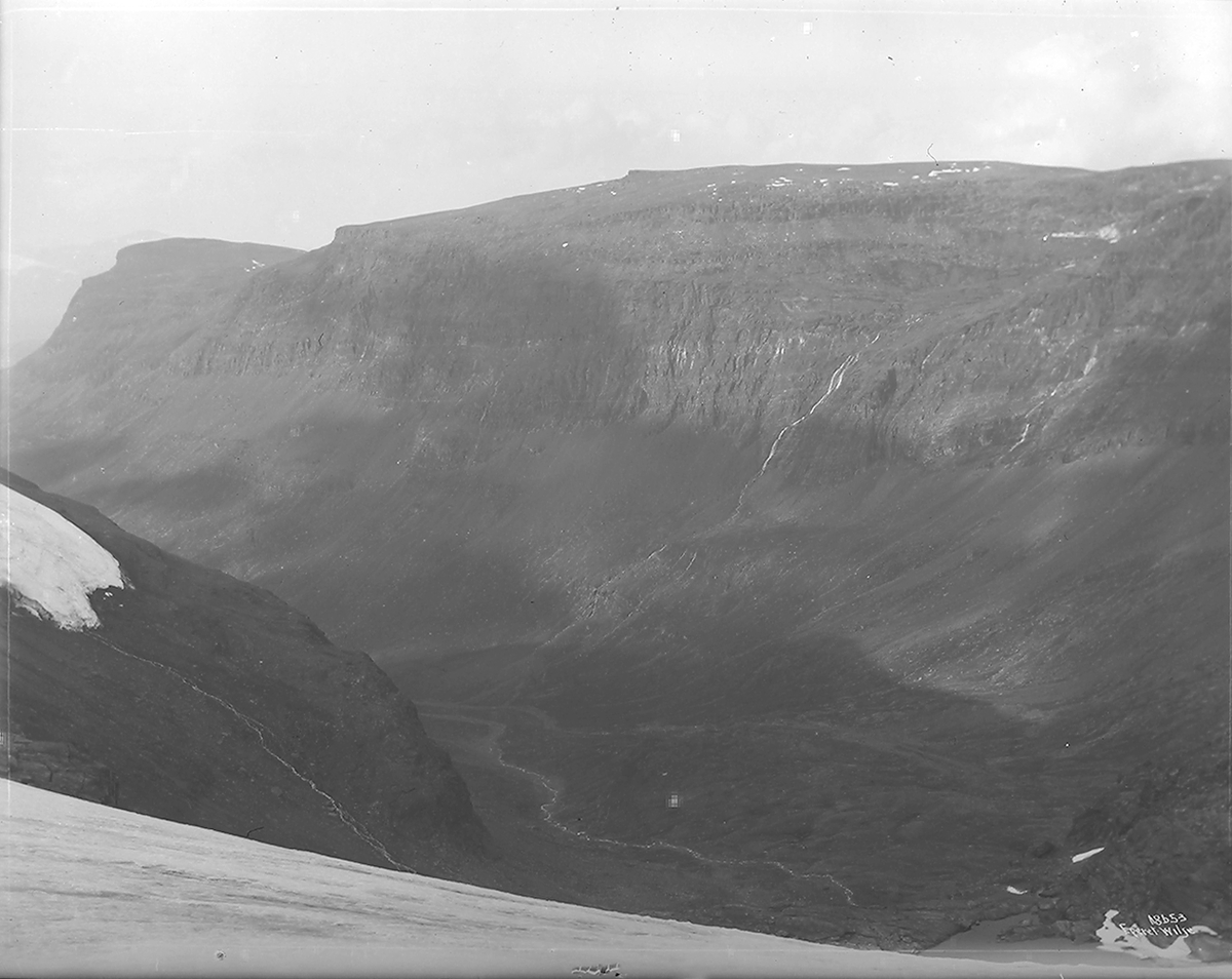 Prot: Bergen - Fra Fjøsanger Kreatursene 25. Juli 1902