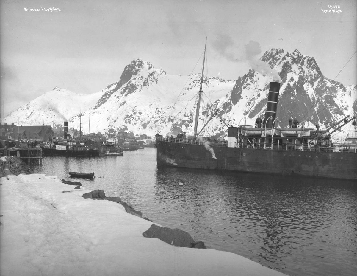 Prot: Jædern - Kreatursene 22. Juli 1902