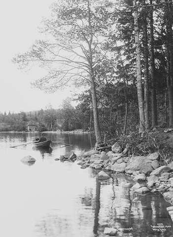 Prot: Fra Sognsvannet - Strandparti med baat 1. Juli 1903