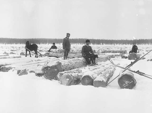 Prot: Stor Furustok på Fæmundsjø 1 tømmerkjører 25/2 1904