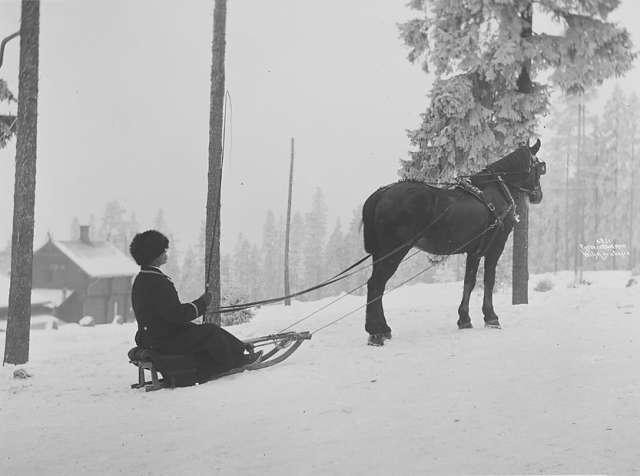 Prot: Vinter - Kjelkeakning 19/1 1906