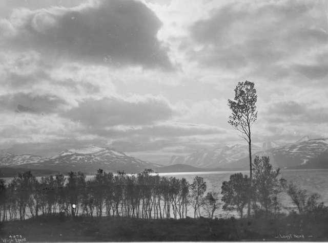 Prot: Langt Nord 27/7 1906