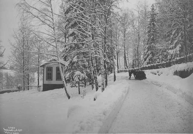 Prot: Holmenkollen - Veien