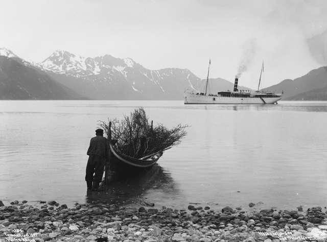 Prot: Svartisen Neptun i Holandsfjorden 1907