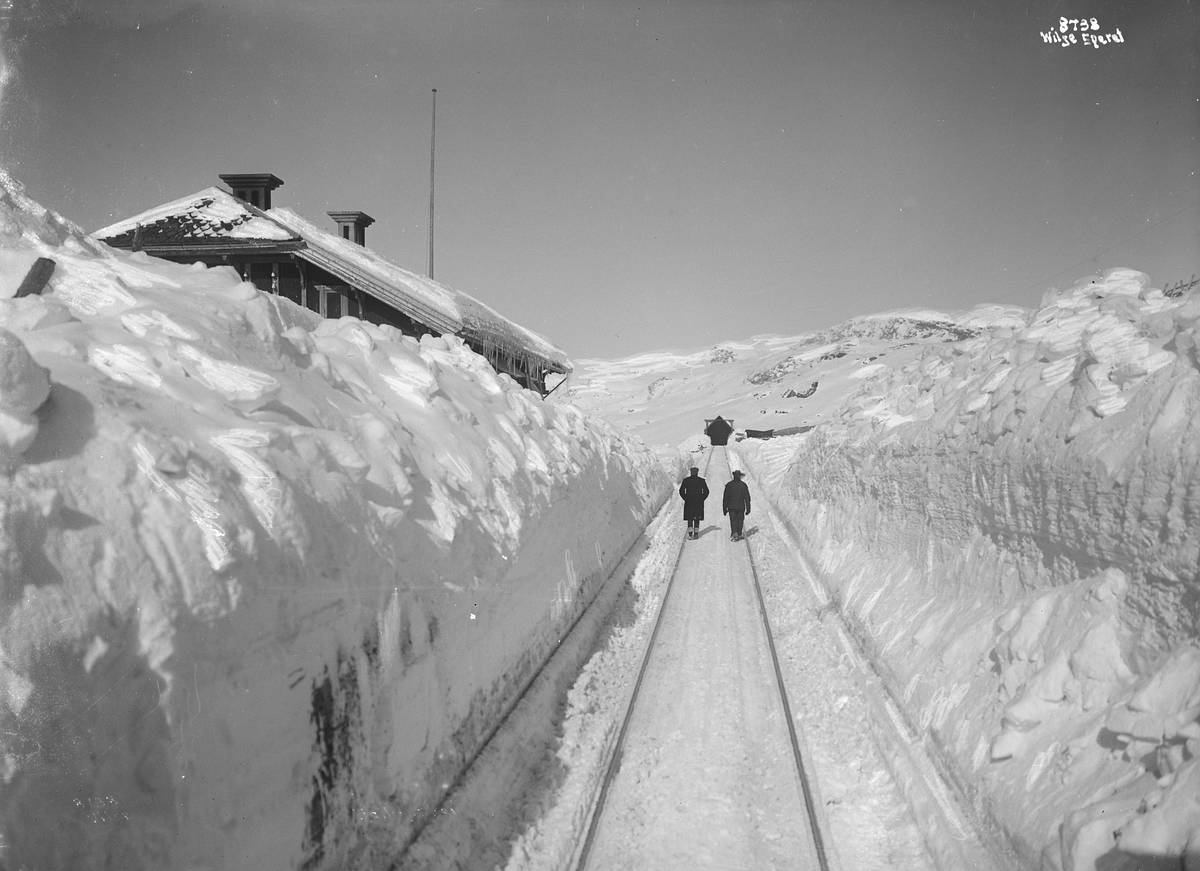 Prot: Hallingskeid station