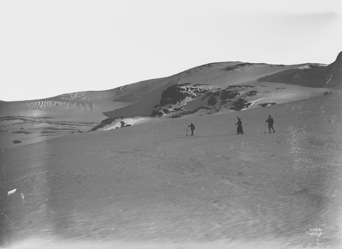 Prot: Paa vei til Hardangerjøklen