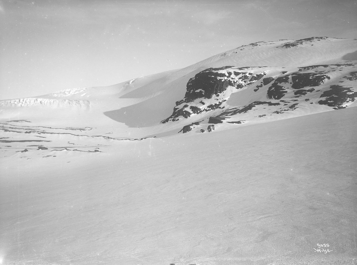 Prot: Paa Hardangerjøklen