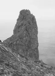 Prot: Hornet med Norkap 1908