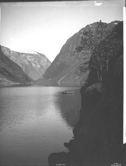 Prot: Nærøfjorden - ved Gudvangen 1909