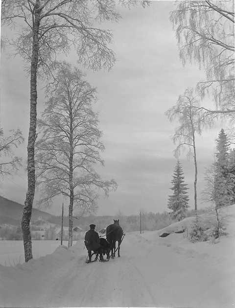 Prot: Veiparti i Sørkedalen 15/1 1910