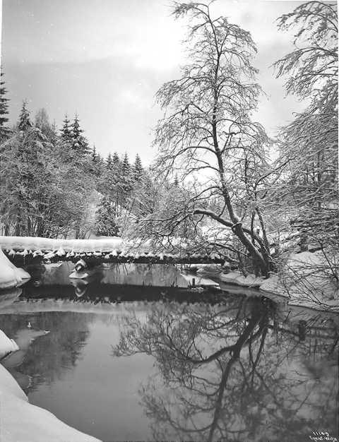 Prot: Langs Bækken nær Dal station 18/1 1910