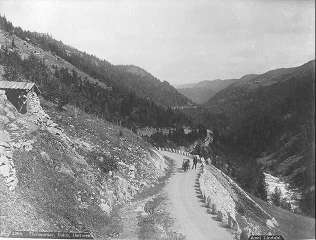 Prot: Rokkejuvet 1910  Neg: 2908. Thelemarken, Dalen, Børtosen. Axel Lindahl.