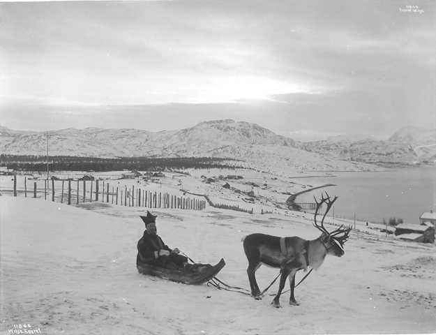 Prot: Bosekop - Pulkkjøring med Ren Skogforv. Sandbu 2/3 1910