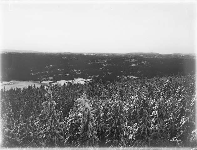 Prot: Voksenkollen Sanatorium Panorama 20/12