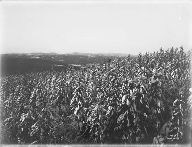Prot: Voksenkollen Sanatorium Panorama 20/12