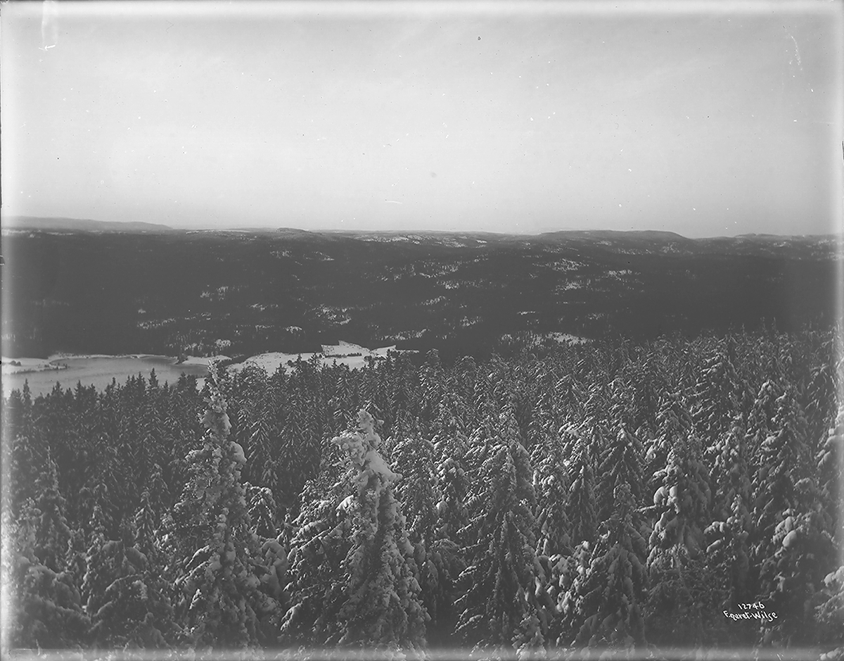 Prot: Voksenkollen Sanatorium Panorama 20/12