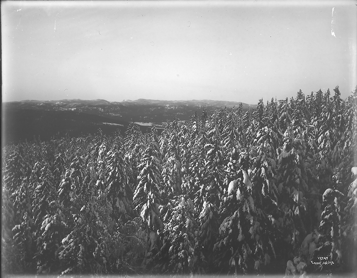 Prot: Voksenkollen Sanatorium Panorama 20/12