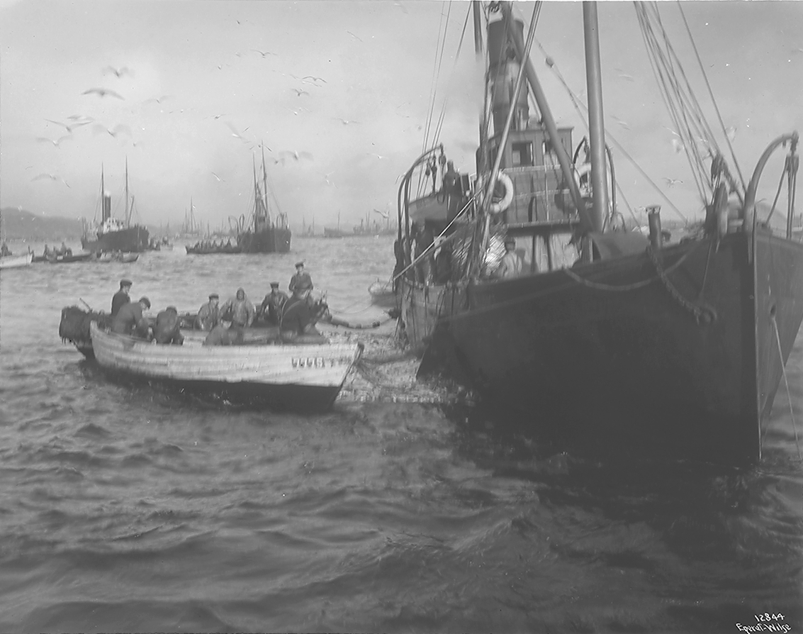 Prot: Paa Fiskefeltet Stemning
24/2-3/3