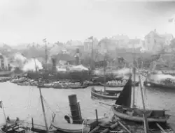 Prot: Haugesundhavn
24/2-3/3