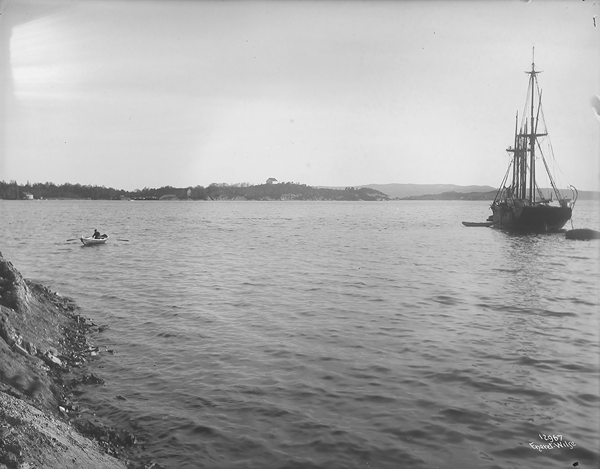 Prot: Hovedøen fra Byen fra Peperviken  31/5