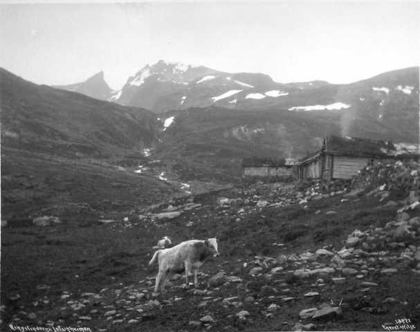 Prot: Skarstølsæteren med Ringstinderne