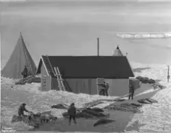 Prot: Framheim Brevkort