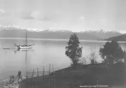 Prot: Hardangerfjorden med Folgefond