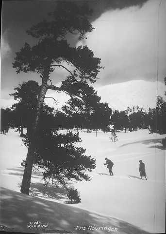 Prot: Rondane - Furuskogen med Heimfjeldene