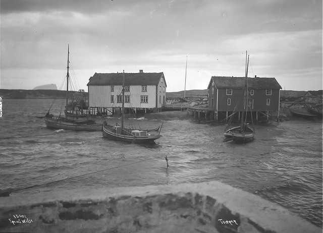 Prot: Fiskeværet Træna, Helgeland