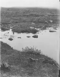 Prot: Vidden mot Rautasjaut
Konv: Vidden ved lappeporten