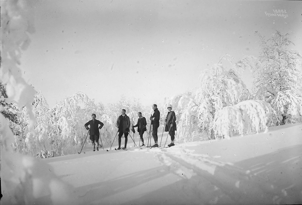 "Prot: Golaa  Bjerkeskogen

"