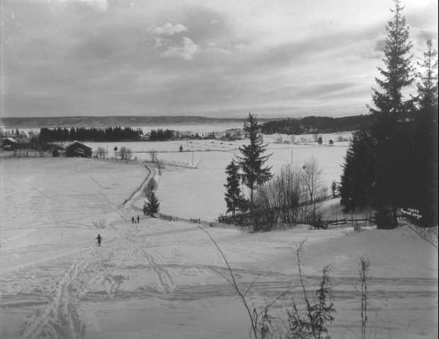 Prot: Asker Hvidsten