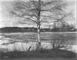 Prot: Vaar isløsning ved Asker