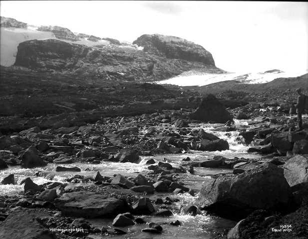 Prot: Hardangerjøkelen