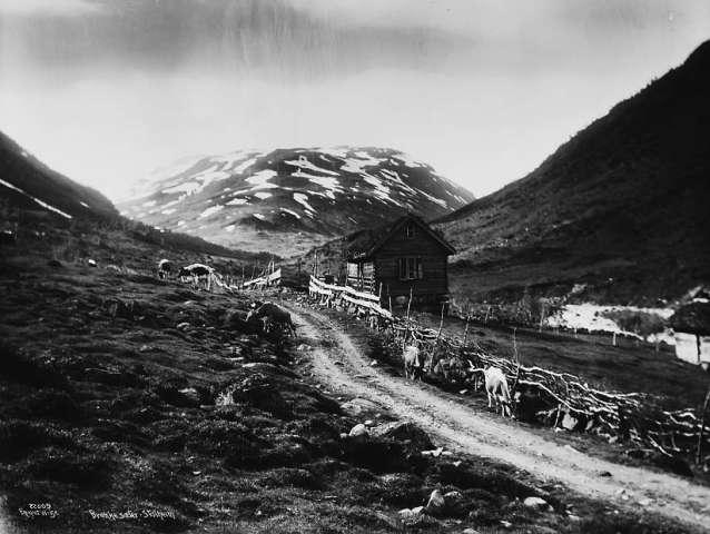 Prot: Brække Sæter  28/6
Neg: Brække sæter - Stalheim