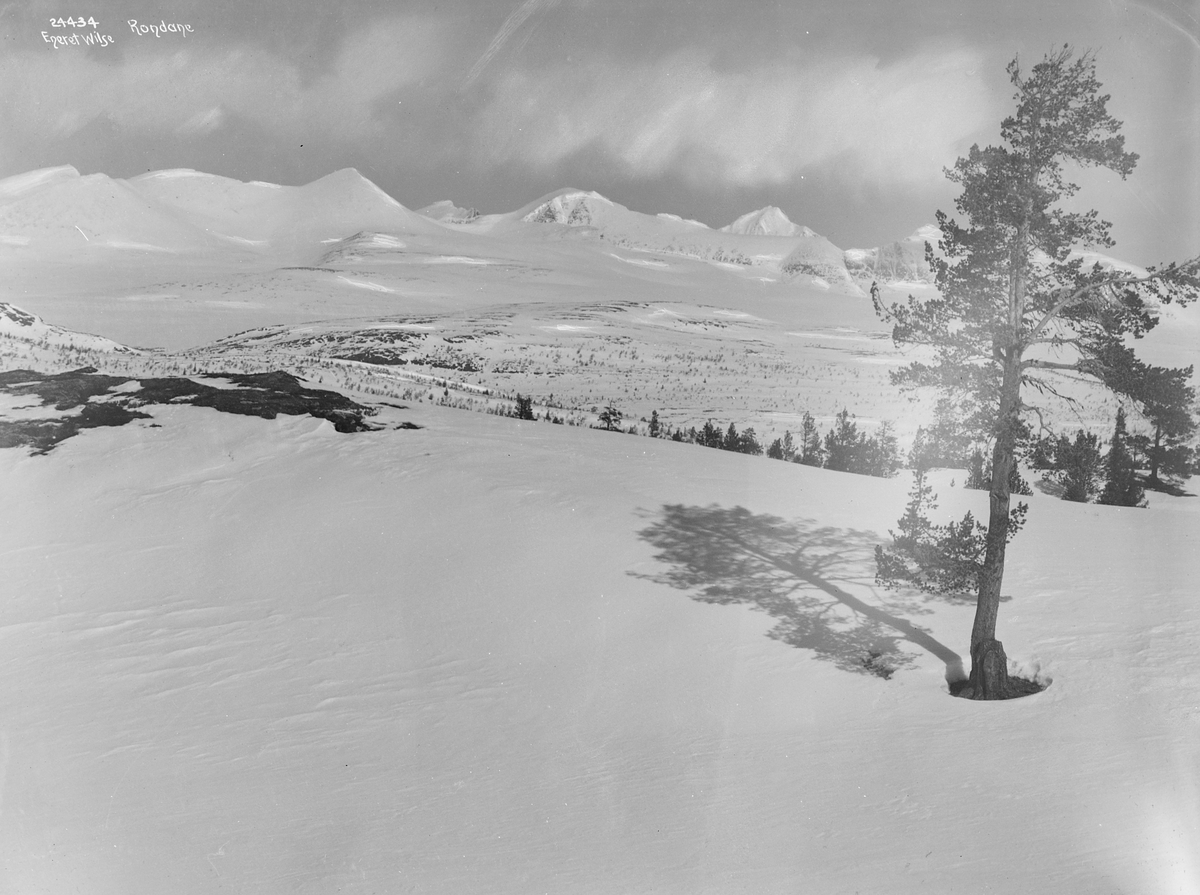 Prot: Rondane fra Haugsetrene