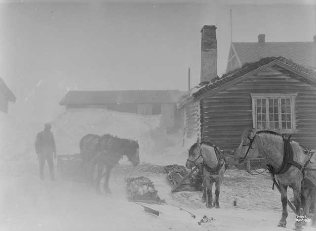 Prot: Rondane - Høvringen, snestorm