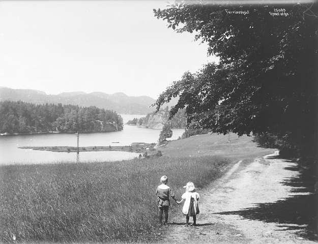 Prot: Larvik Farrisvand 
Konv: Larvik bad, ved Farrisvandet.