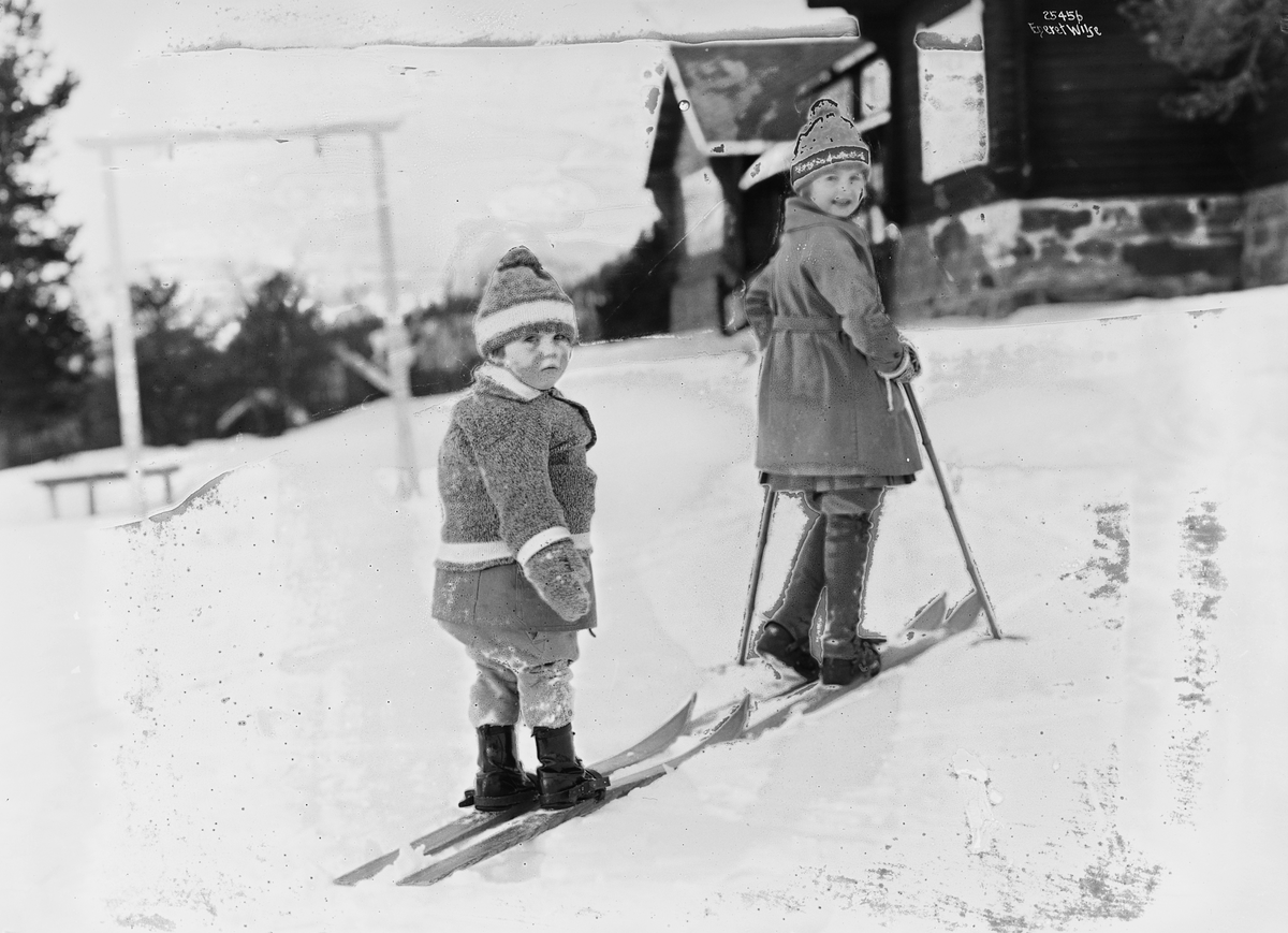 Prot: Vinter - Fefor, Barna paa ski