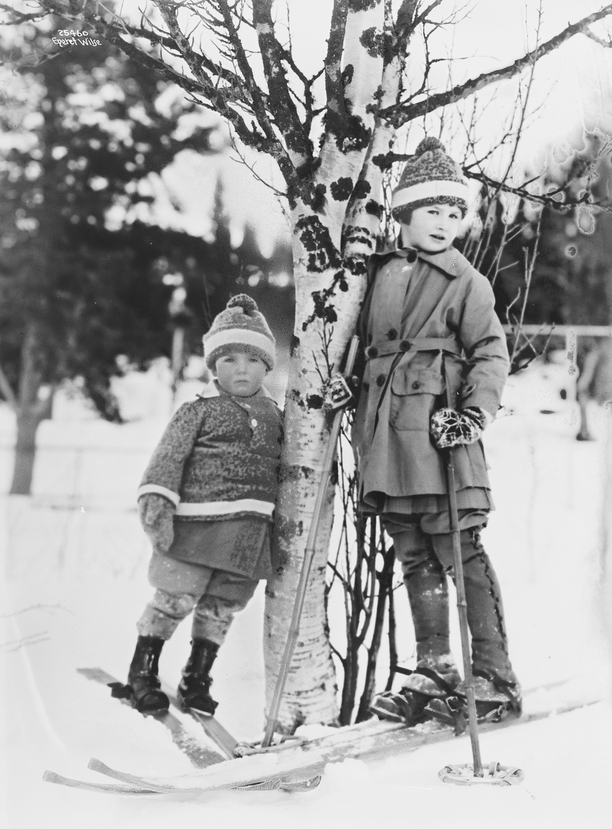 Prot: Vinter - Fefor, Barna paa ski