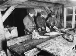 Prot: Kristiansund - Seien sløies