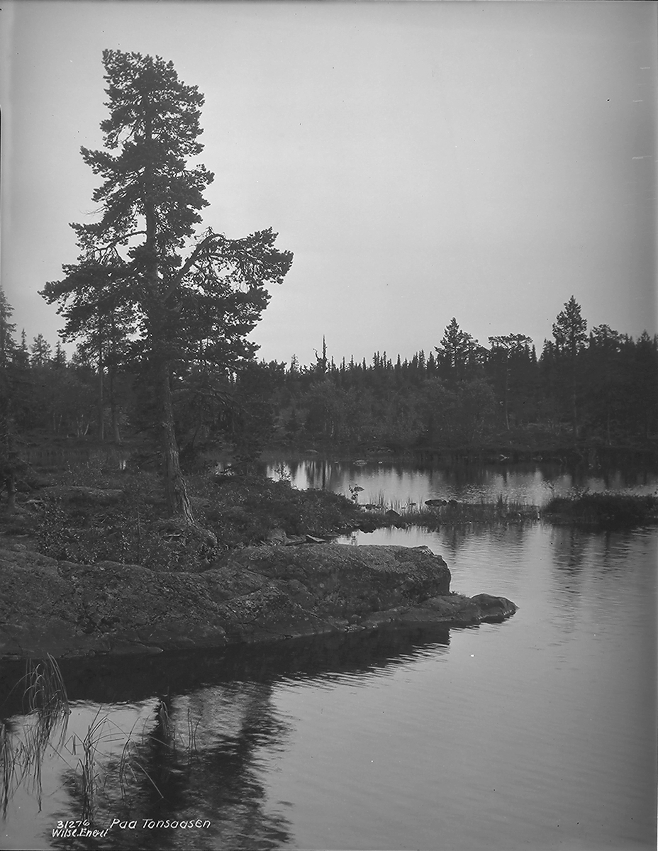 Prot: Valdres, Paa Tonsaasen