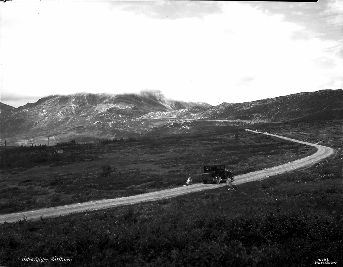 Prot: Valdres, Østre Slidre, mot Bitihorn