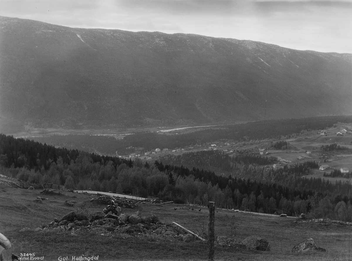 Prot: Hallingdal - Golsbygden