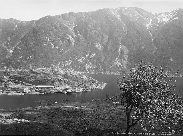 Prot: Hardanger - Zinkcompaniet panorama