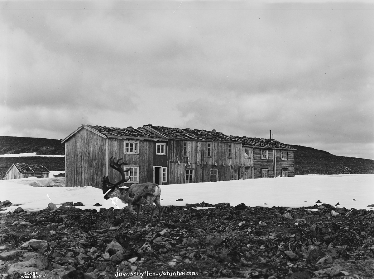 Prot: Jotunheimen, vinter - Juvasshytten