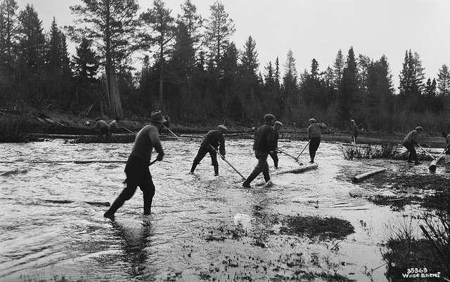 Prot: Tømmerfløtning, Åsta